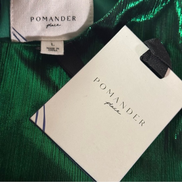 Pomander Place | NEW Emerald Crinkle Lurex Lillith Maxi Dress Size L - Picture 11 of 12